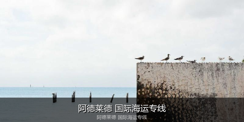 大件设备海运特种运输方案