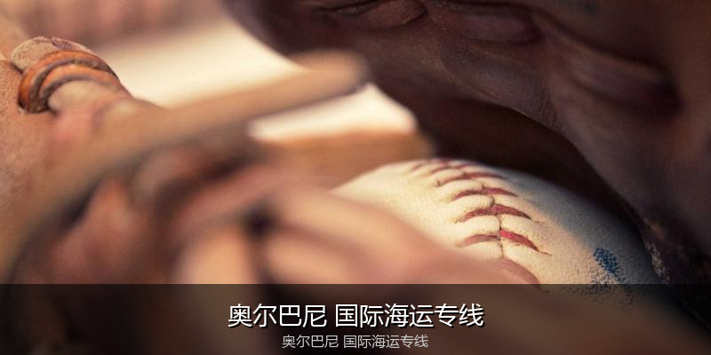 大件设备海运特种运输方案