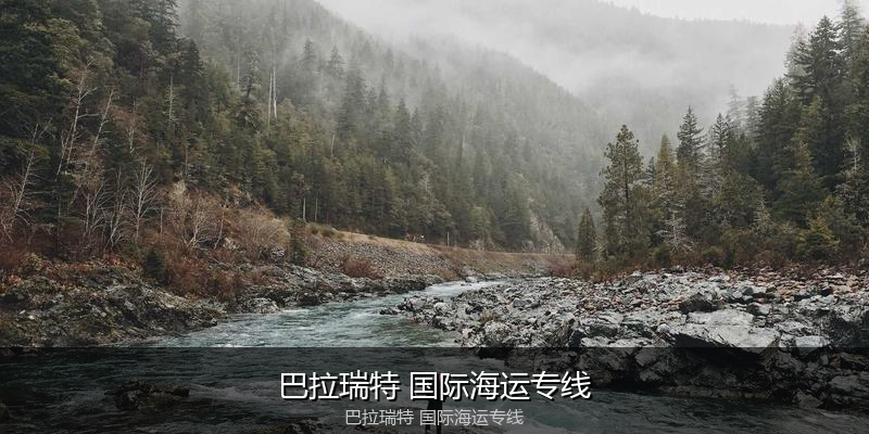 大件设备海运特种运输方案