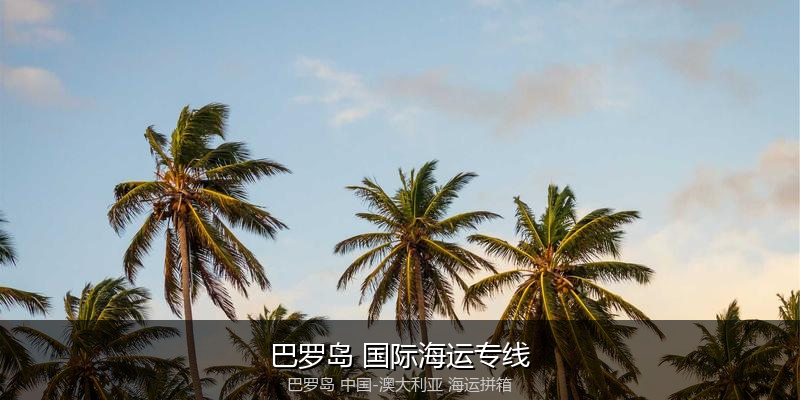 跨境电商退货与逆向物流