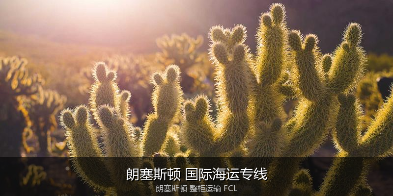 关税优化与贸易合规筹划