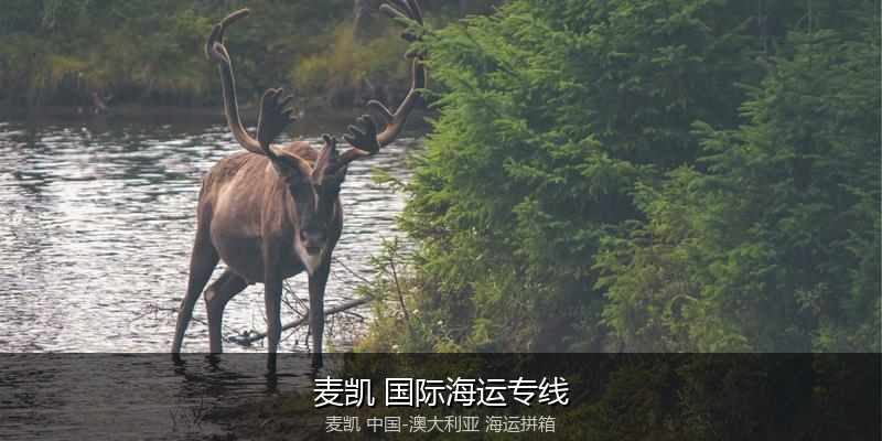 跨境电商退货与逆向物流
