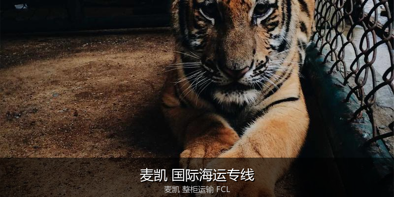 关税优化与贸易合规筹划
