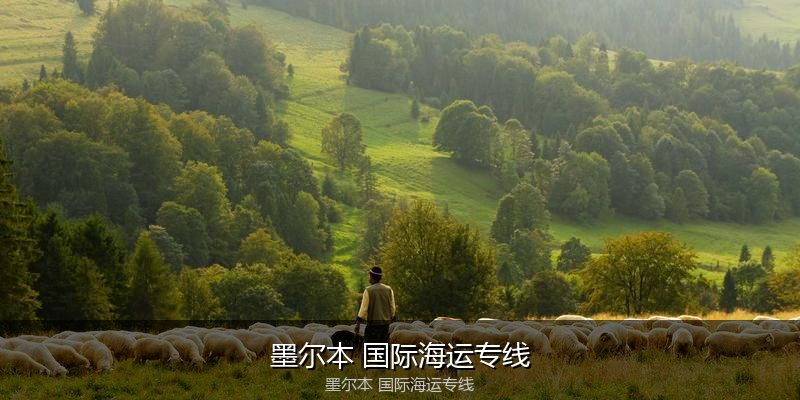 大件设备海运特种运输方案