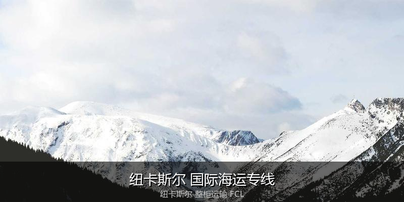 关税优化与贸易合规筹划