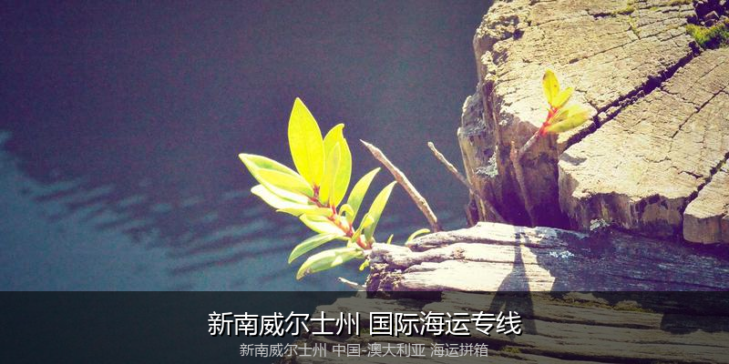 跨境电商退货与逆向物流