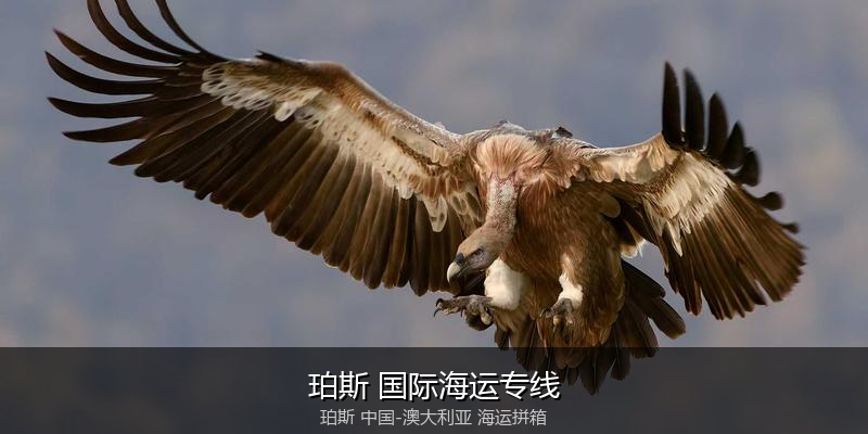 跨境电商退货与逆向物流